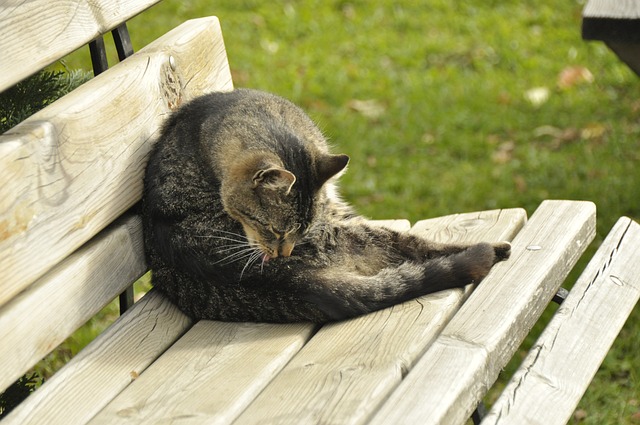 成的
